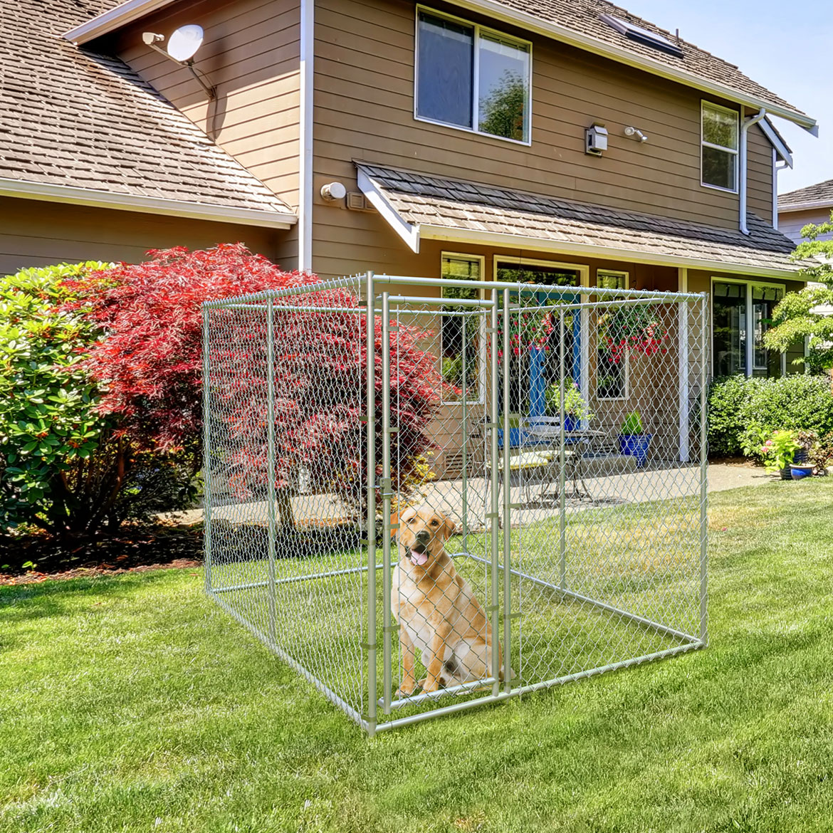 Chain Link Kennel
